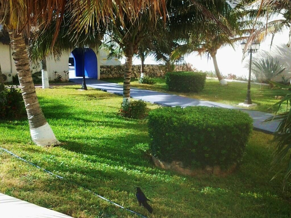 Salvia Condominio Κανκούν Δωμάτιο φωτογραφία